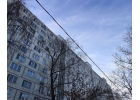 В 2-х комнатной квартире проживает один мужчинародственник собственника.